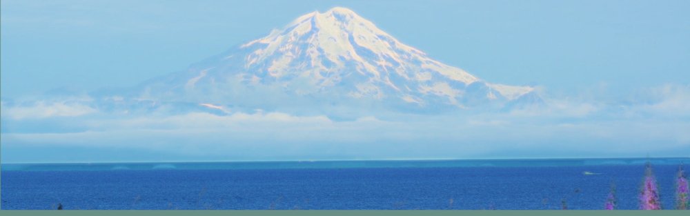 How Pure Whimsy Jewelry Gives Back. Supporting Save Ak Spots - Pure Whimsy Jewelry