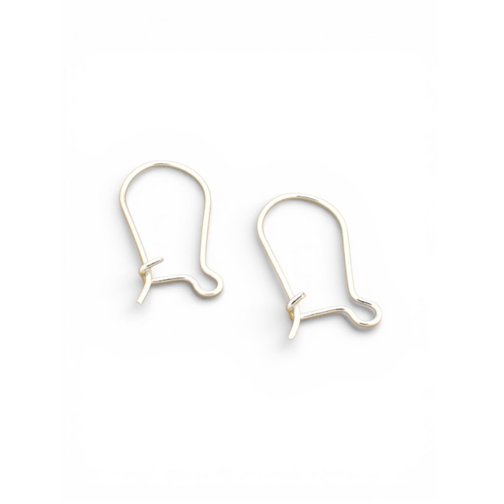 Silver Windblown Leaf Earrings - 